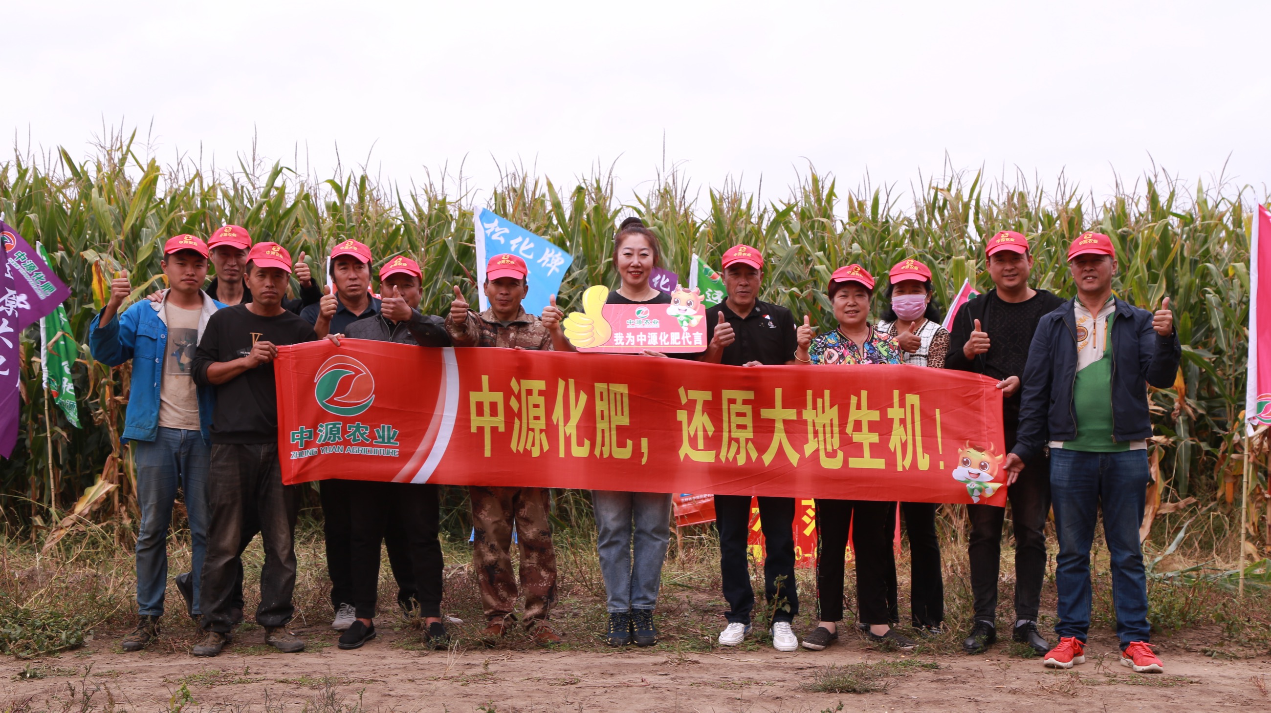 齊齊哈爾市泰來縣泰來鎮豐田村